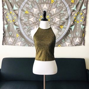 H&M Gold Shimmer Halter Crop Top